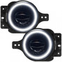 Oracle Fog Light Assembly 5847-001