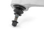 Rough Country - Forged Upper Control Arms - 3.5 in. Of Lift - Toyota Tacoma 4WD (2024-2025)