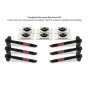 Mishimoto Silicone Body Mount Kit | 2008-2016 Ford Super Duty Regular & Extended Cab | SWAG Performance Parts