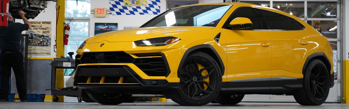 Urus