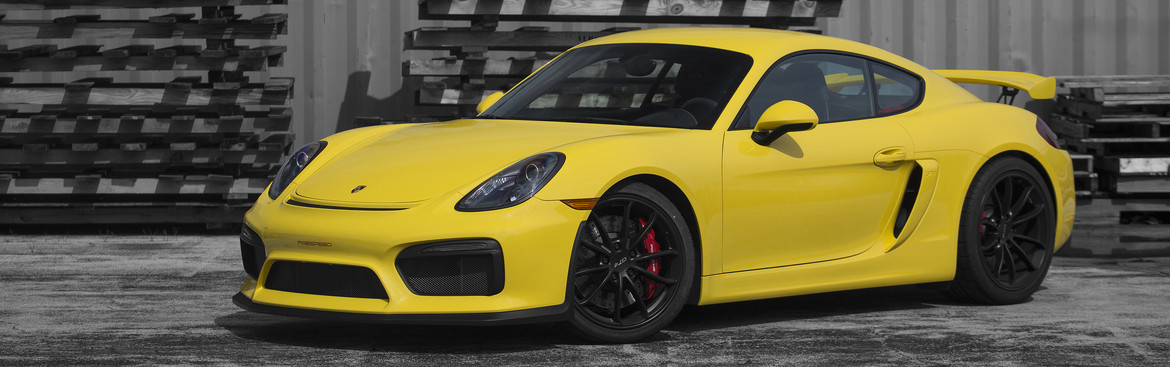 981 GT4 / Spyder (2015-2016)