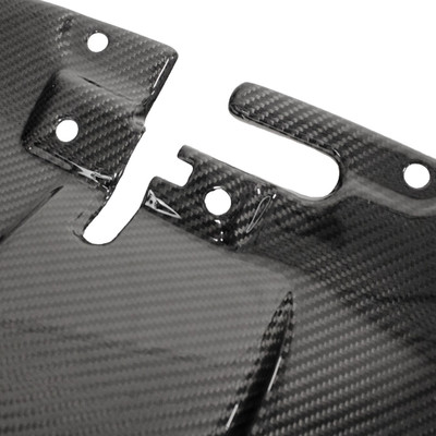 Carbon Fiber Slam Panel - Aston Martin