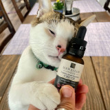 Hawaiian Choice Pet CBD