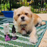 Hawaiian Choice Pet CBD