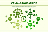 What are Rare Cannabinoids? A Clear Guide to Minor Cannabinoids in Hemp