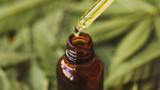 What Is Rick Simpson Oil?