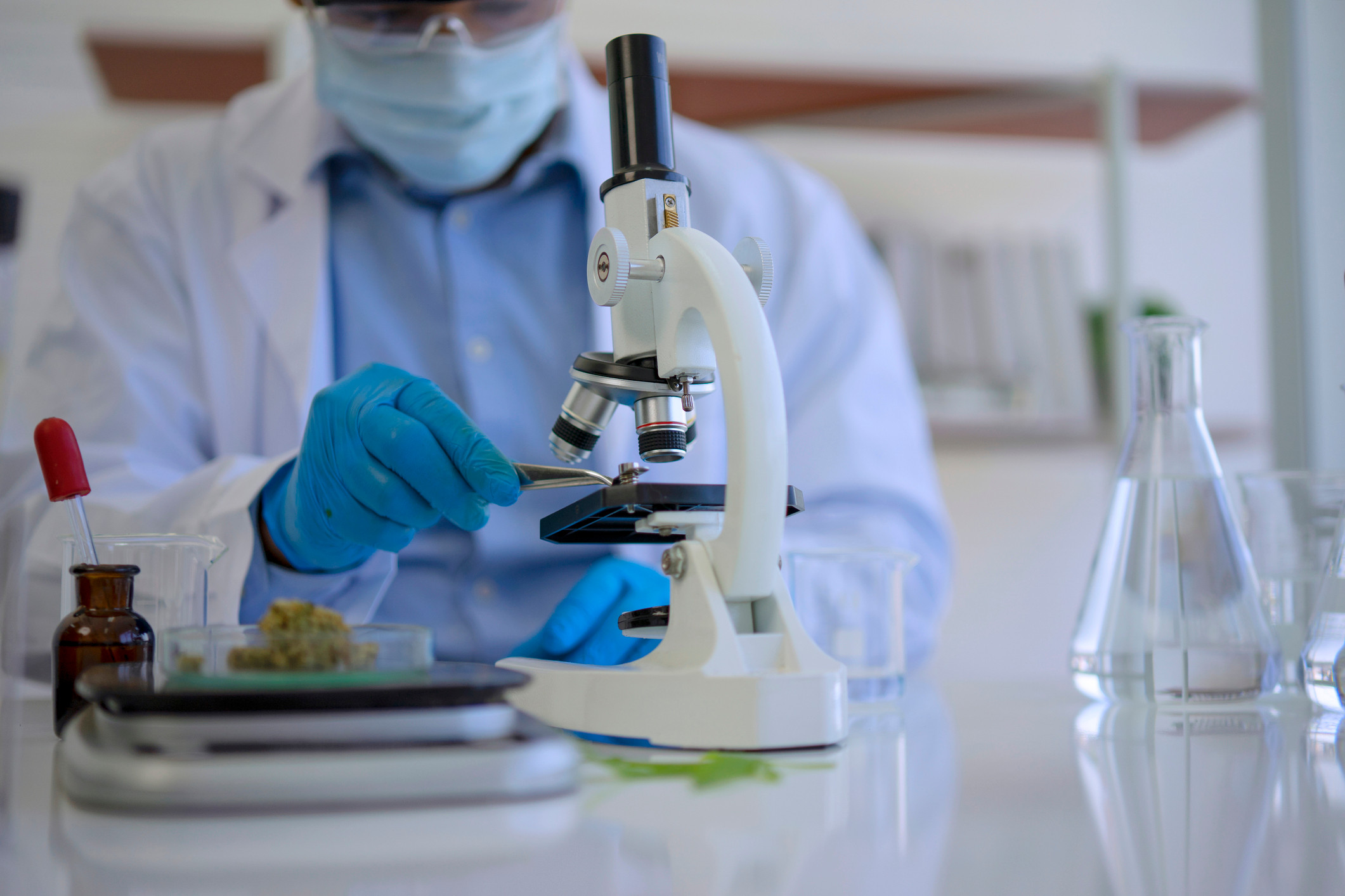 Marijuana Reclassified: What Schedule III Means for Cannabis Research ...