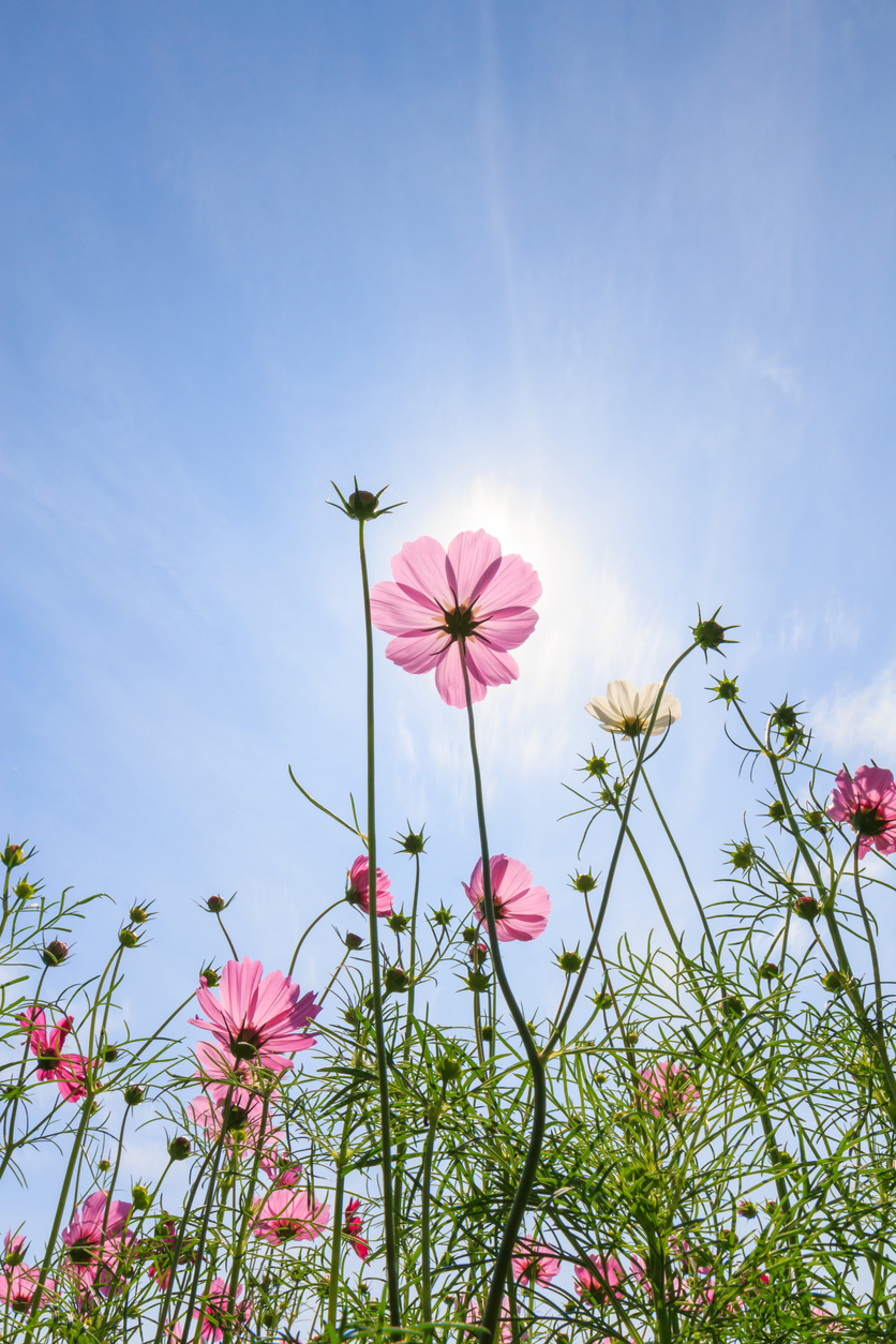 Looking for more info? Let us help you out.