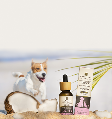 Buy OG Kush Vape Cartridge CBG & CBN Cart Online | Hemp Hop