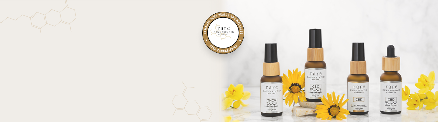 Help & Customer Service