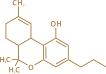 Welcome to Rare Cannabinoid Company