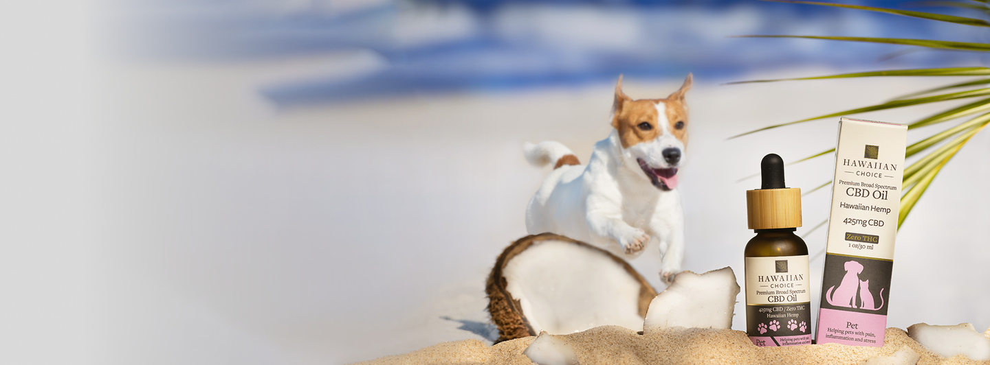 Hawaiian Choice
CBD For Pets
