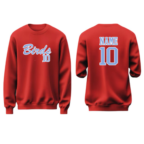 Red birds sweatshirt