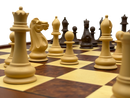 Regal Grand Harmony Storage Chess Set - white pieces