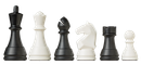 DGT Pegasus Online Bluetooth Chess Set pieces
