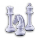 Millennium Chess Computer The King Competition pieces