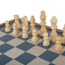 3-in-1 Blue Breeze Game Collection – Chess, Backgammon & Checkers - pieces