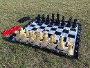 2-in-1 Mini Garden Chess & Checkers Set