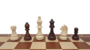Wooden chess pieces