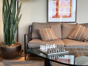 Fossil set in a living room