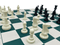 Tournament Pro Chess Set - chess pieces detail on green board