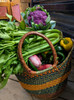 Open Market Membership