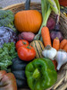 Open Market Membership