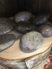 Petoskey Stones - Different sizes