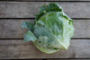 Cabbage: Green Organic