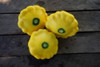 Squash; Patty Pan Yellow Organic