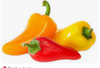 Peppers: Colored Sweet Peppers Organic
