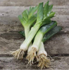 Leeks Organic