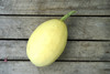 Squash; Spaghetti Organic