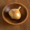 Walla Walla; Sweet Onion Organic Transplants