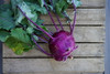 Kohlrabi Organic