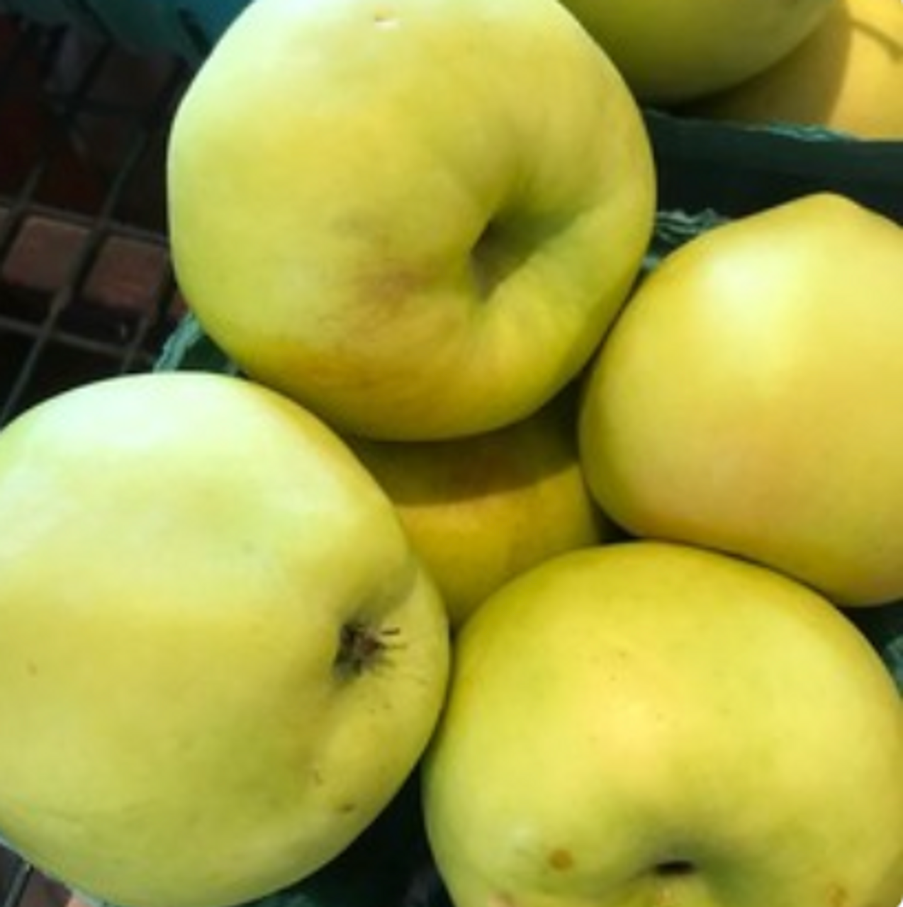 Apples; Ginger Gold