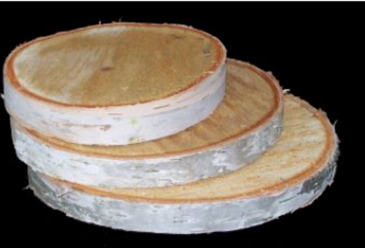 Birch Wood Disk