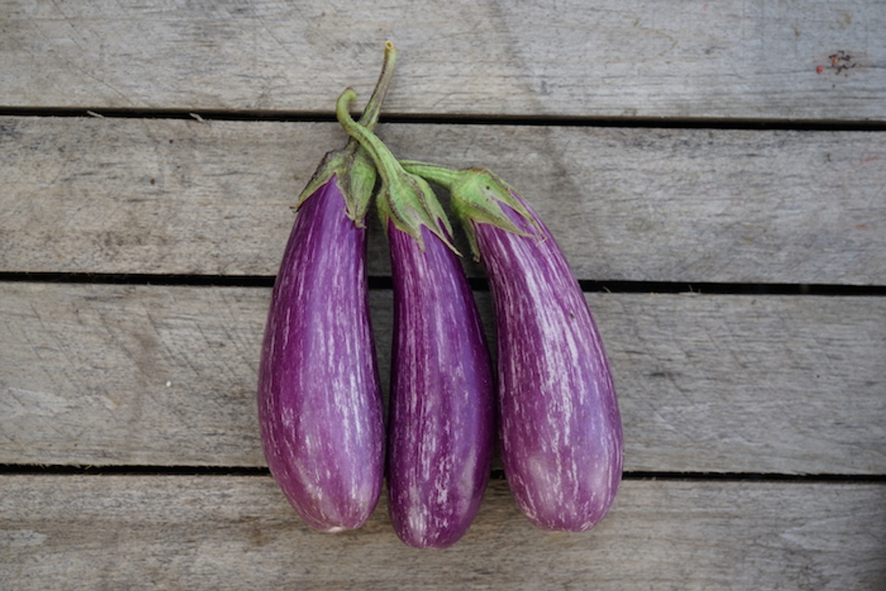 Eggplant: Asian Finger/Mixed Color Organic