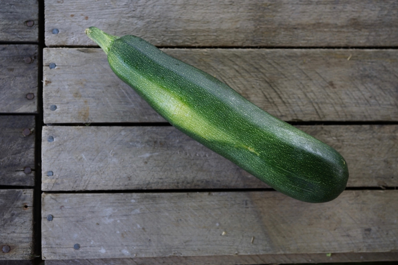 Squash: Zucchini Green/Striped Organic