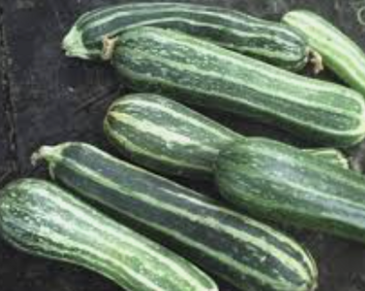 Squash: Zucchini Green/Striped Organic