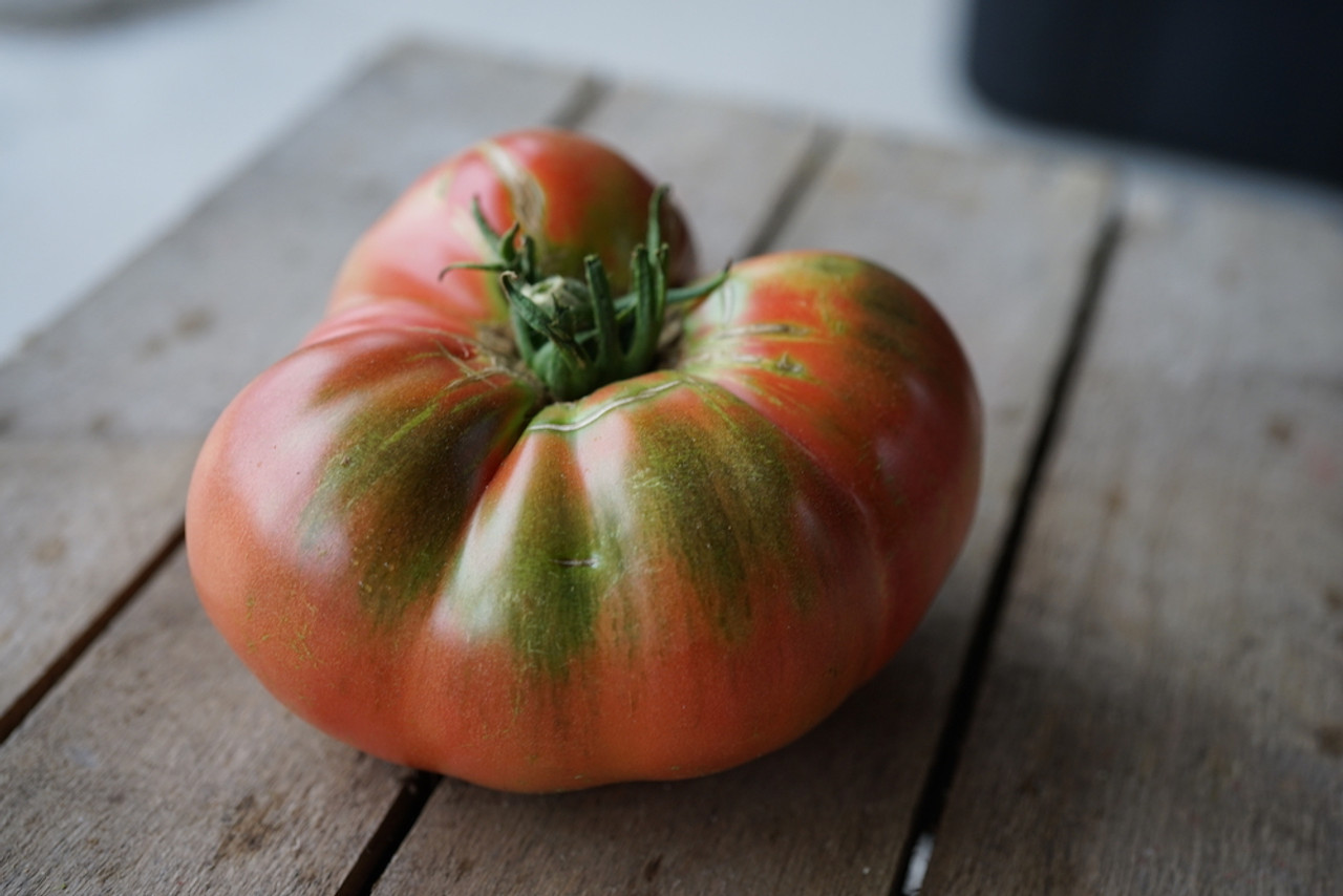 Tomato; Heirloom Organic