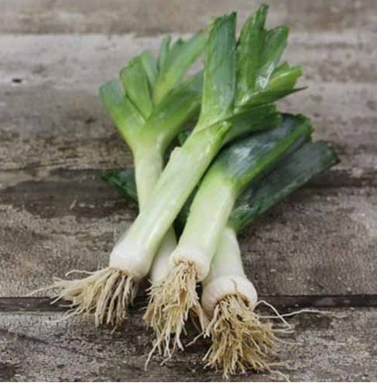 Leeks Organic