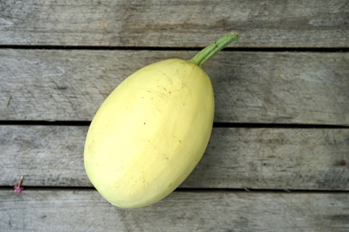 Squash; Spaghetti Organic