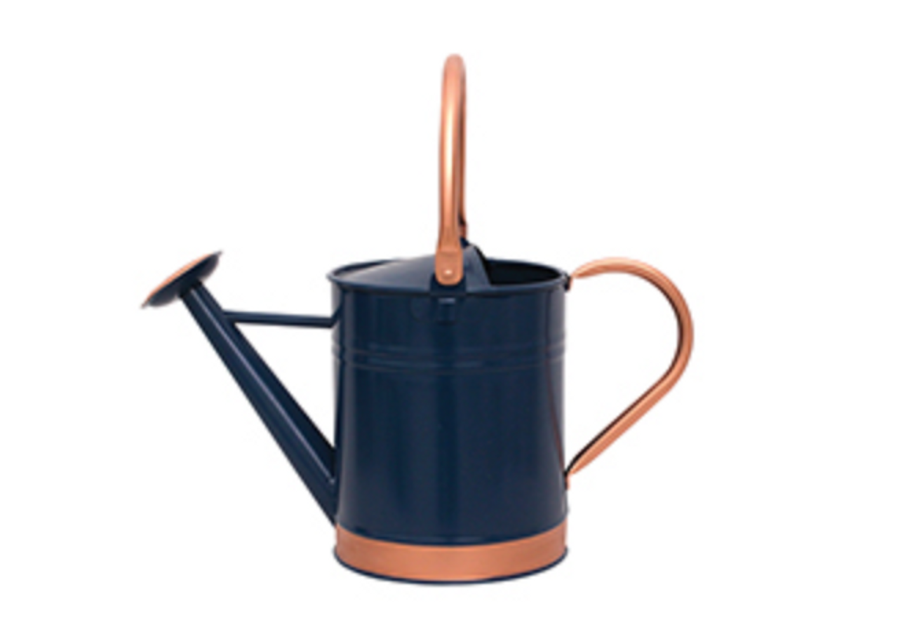 1 gal. Metal Watering Can with Copper