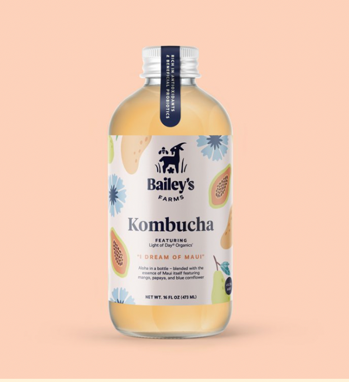 Bailey's Farms Kombucha