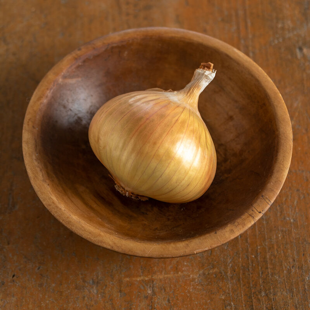 Walla Walla; Sweet Onion Organic Transplants