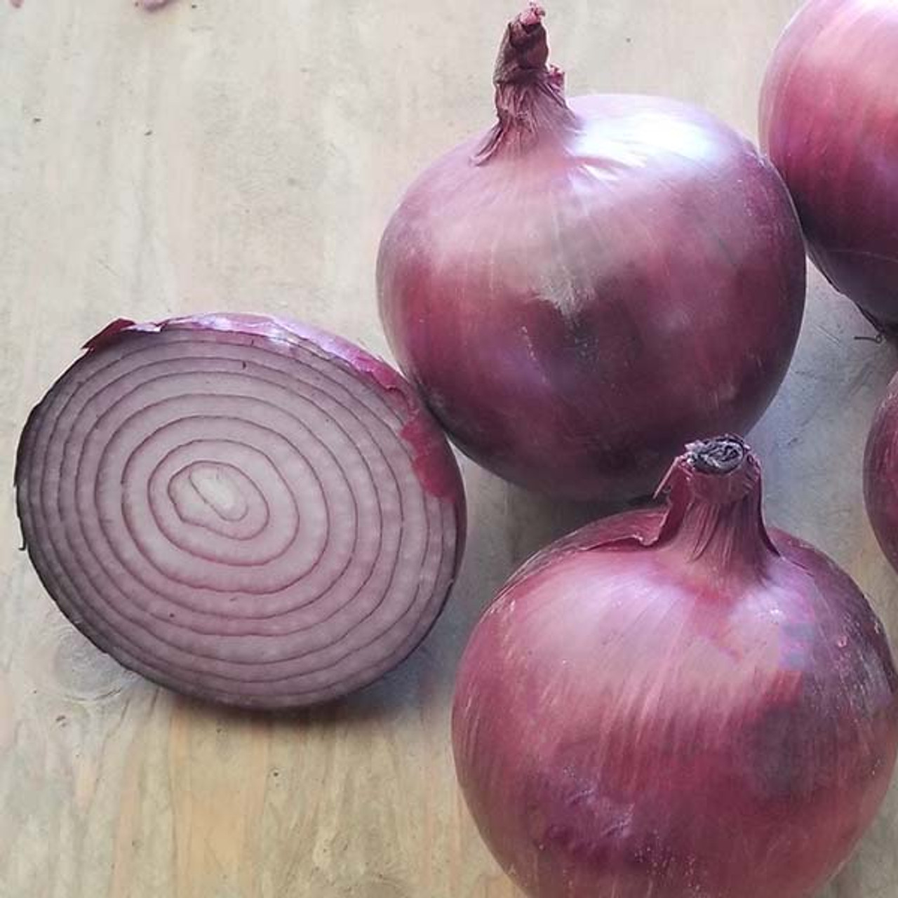 Tannat; Red Onion Organic Transplants