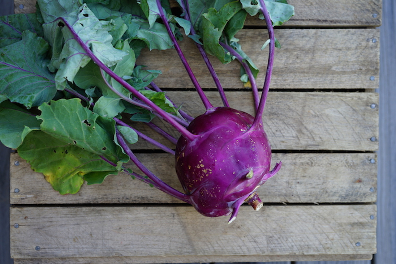 Kohlrabi Organic