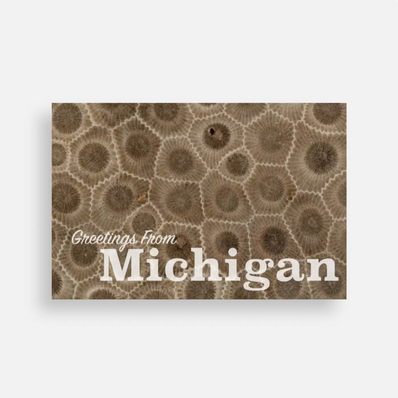 Petoskey Stones Postcard