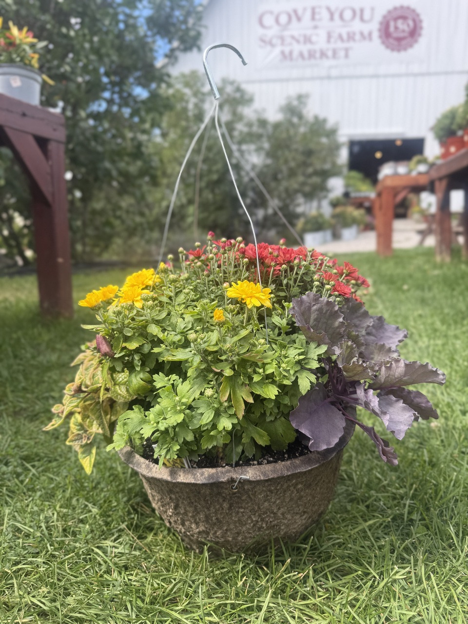 Fall Fiber Planter Fall Fiber Planter